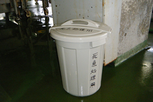 売場内の廃棄魚専用蓋付容器